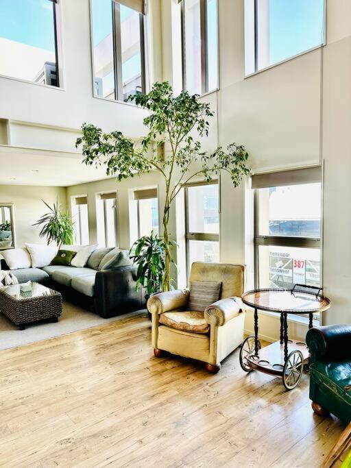 Stunning New York Loft Gallery クライストチャーチ エクステリア 写真